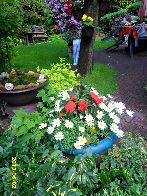 jednoroczne zawsze sa do poznej jesieni,