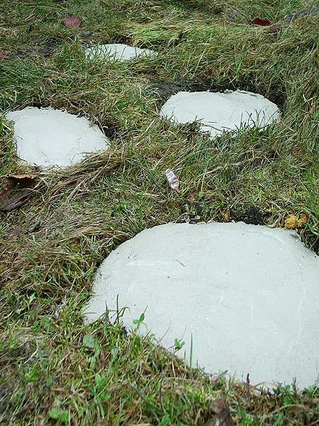 Jeśli chcemy "postarzyć" betonowe płytki, posmarujmy je rozwodnionym jogurtem. Dzięki temu w ciągu kilku dni pokryją się mchem i będą wyglądały na wiekowe