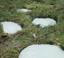 Jeśli chcemy "postarzyć" betonowe płytki, posmarujmy je rozwodnionym jogurtem. Dzięki temu w ciągu kilku dni pokryją się mchem i będą wyglądały na wiekowe