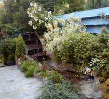 Kamienne stopnie schodzą do krętego koryta, które ma swoje ujście w niżej położonym oczku.