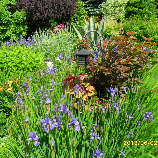 kolorowy zawrot glowy,