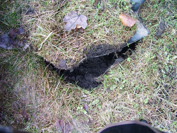 Krok 3 - wycinamy trawę