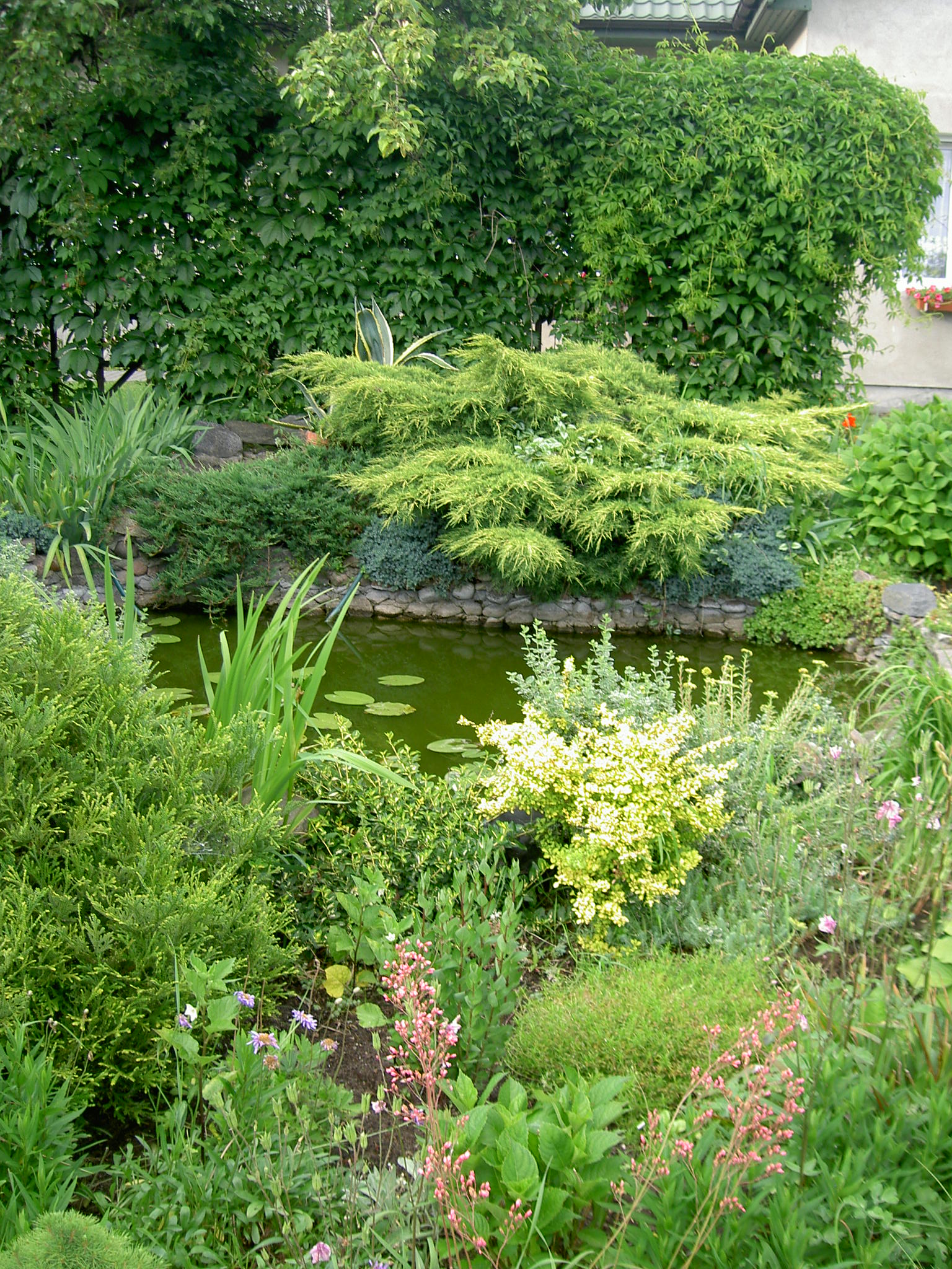 „Latem ciepłą wodą z oczka podlewamy byliny rosnące obok. Jej niedobór na bieżąco uzupełniamy”, pisze nasza czytelniczka