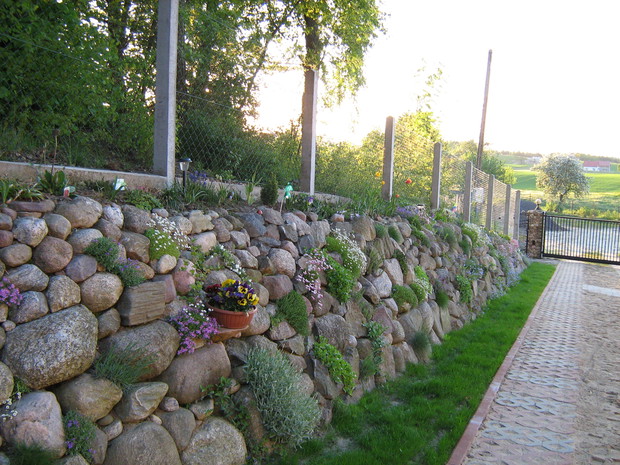 MAŁA CZĘŚĆ DŁUGIEGO SKALNIAKA