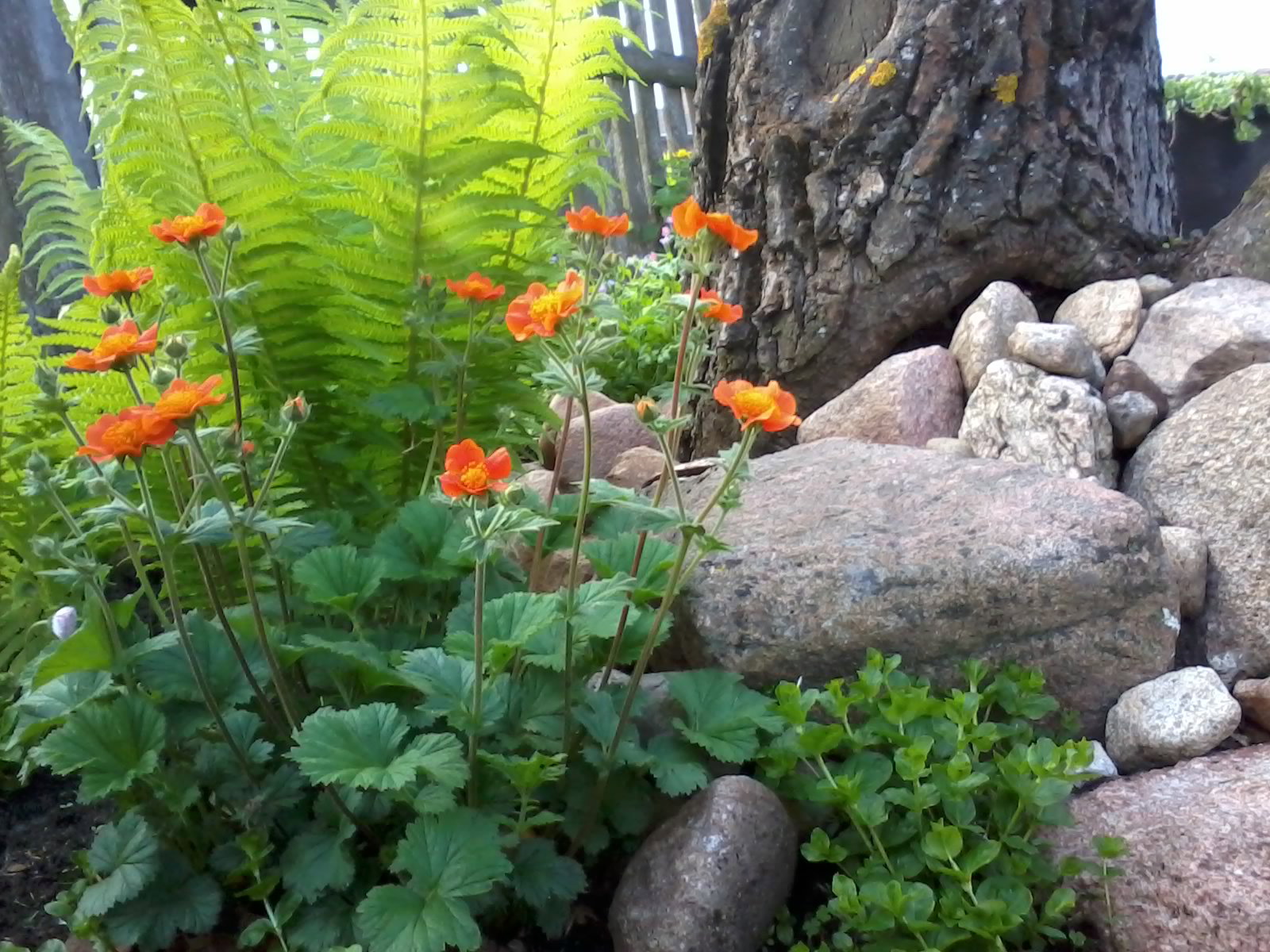 moja ulubiona kompozycja tej wiosny