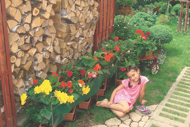 „Moja wnuczka Kornelka na tle drewutni i kwitnących begonii”, pisze nasza czytelniczka