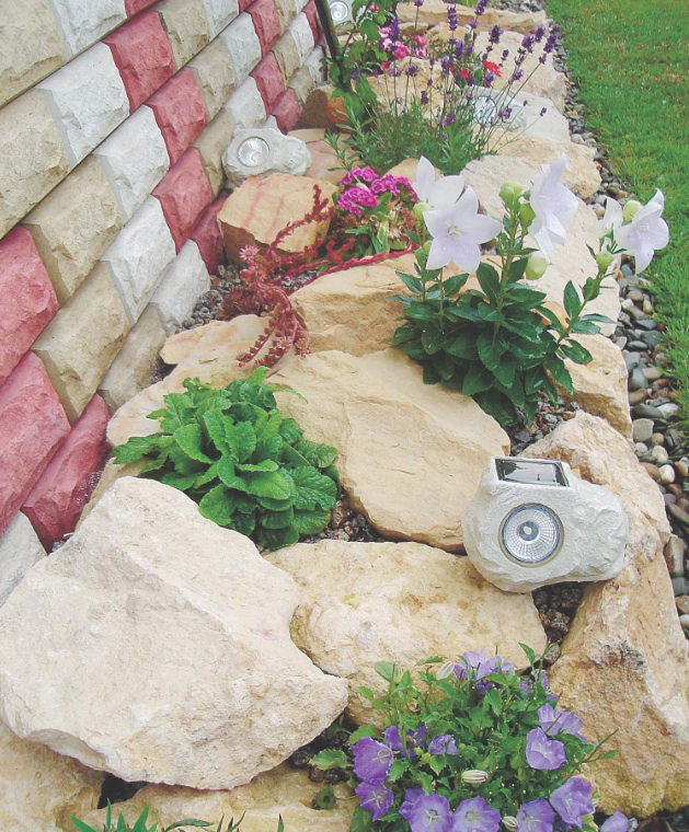 Mur domu stał się naturalną osłoną dla wyższych roślin, takich jak lawenda wąskolistna. Na kamieniach i między nimi poustawiałam co kilka centymetrów lampki solarne, które ładnie wyglądają nocą