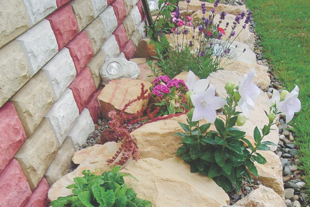 Mur domu stał się naturalną osłoną dla wyższych roślin, takich jak lawenda wąskolistna. Na kamieniach i między nimi poustawiałam co kilka centymetrów lampki solarne, które ładnie wyglądają nocą