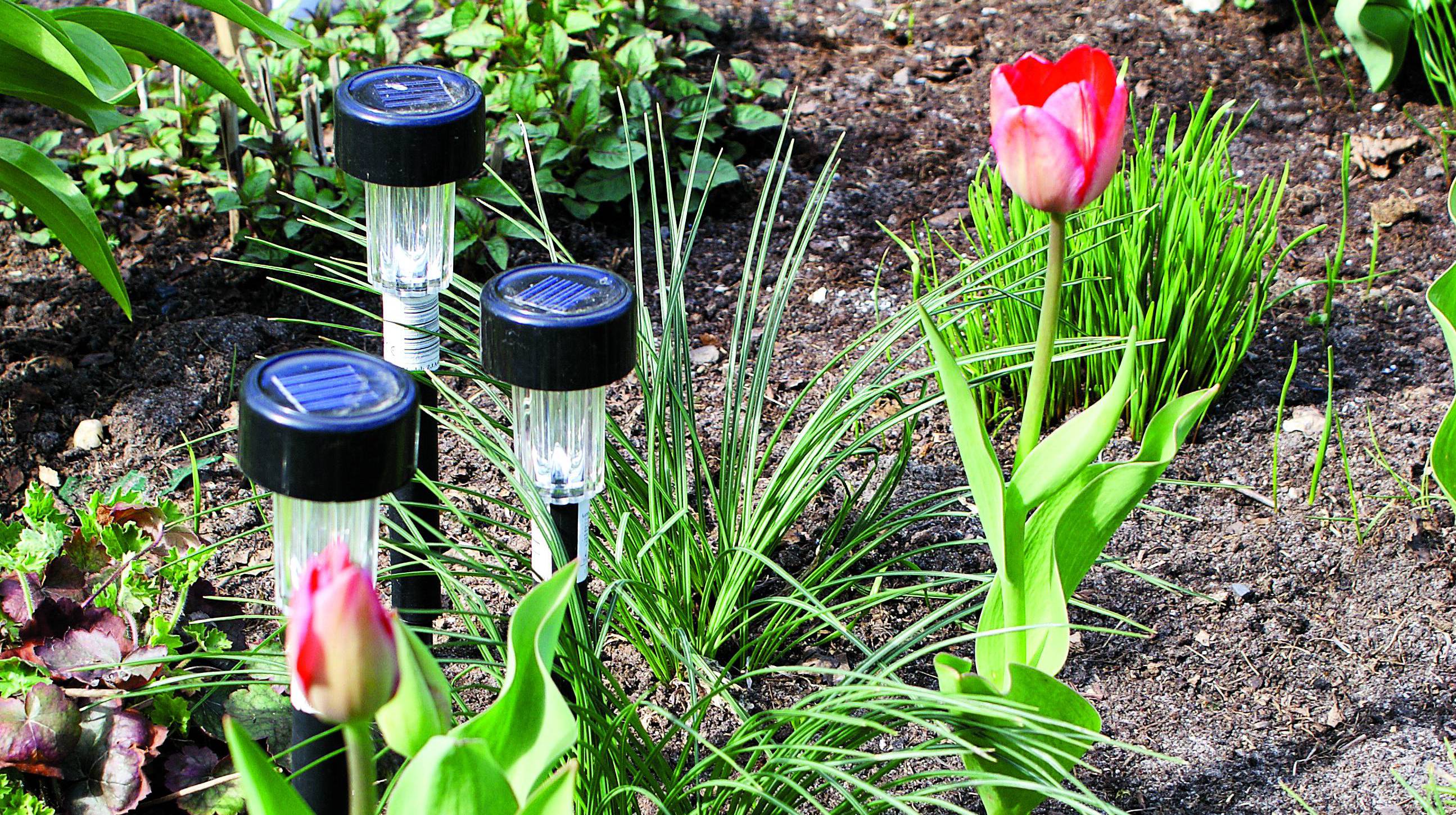 Nocą takie świetliki wyglądają szczególnie atrakcyjnie.