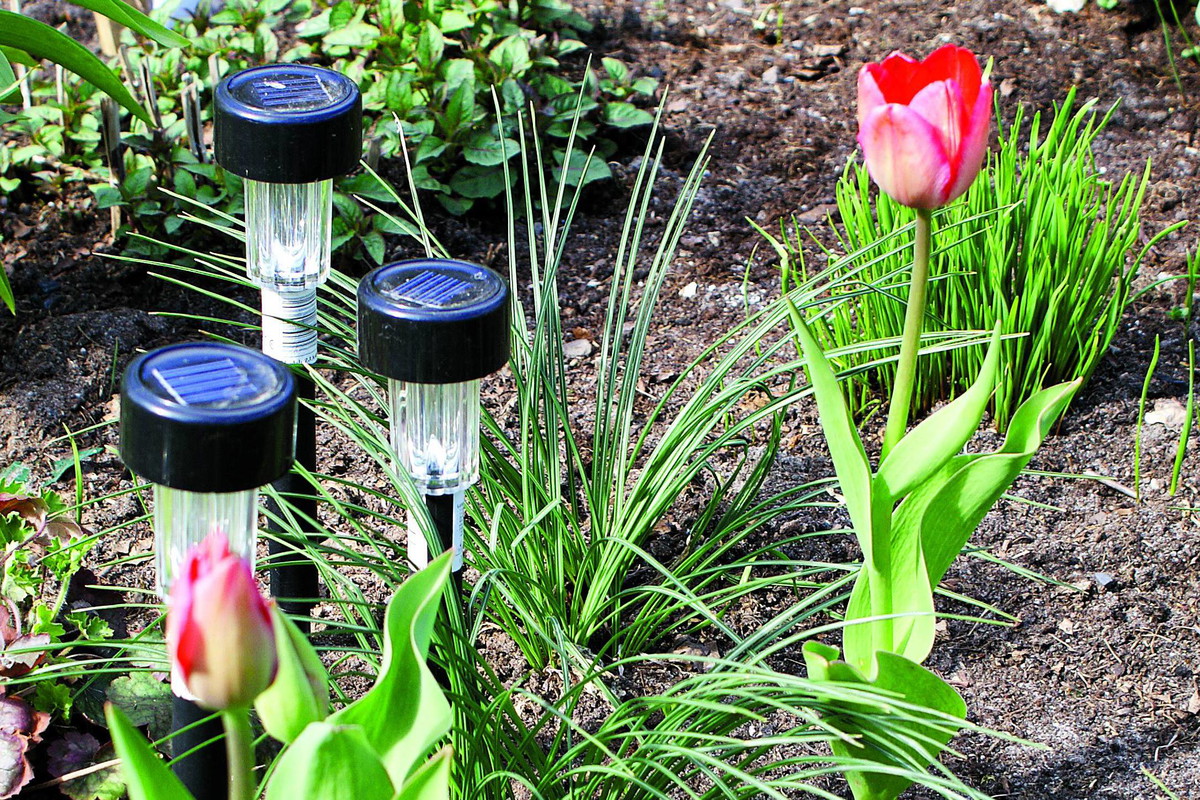 Nocą takie świetliki wyglądają szczególnie atrakcyjnie.