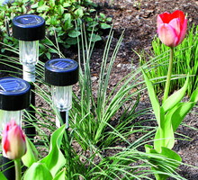 Nocą takie świetliki wyglądają szczególnie atrakcyjnie.