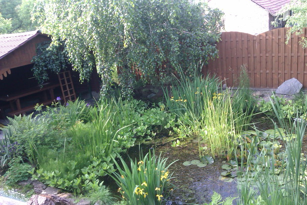 Oczko wodne (cz.3) uwielbiamy spędzać tutaj czas :)