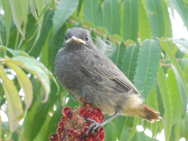Odważny? Zgodził się na sesje zdjęciową.