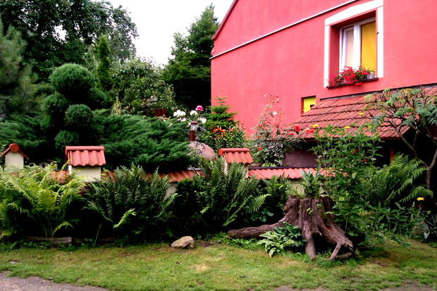 Ogródek z różami, liliami, jukami oraz iglakami :)