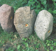 Ogrodu pilnują kamienne głowy zrobione z dużych kamieni i pomalowane mrozoodpornymi farbami