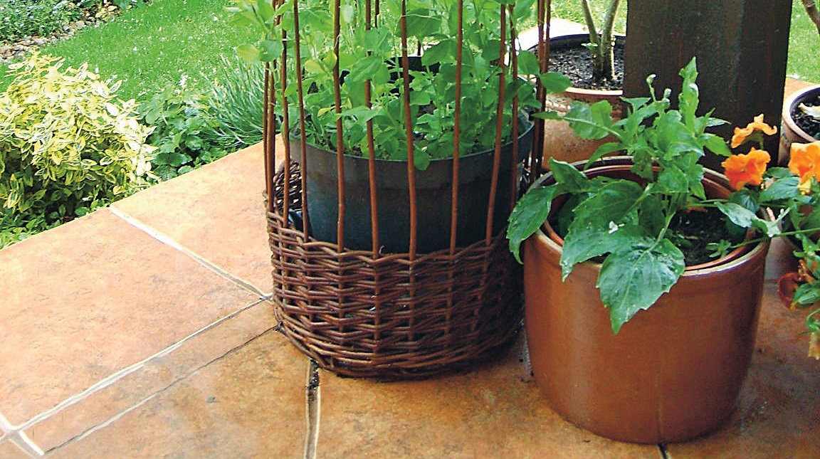 Oryginalny kształt wiklinowej osłony na donicę od razu przykuwa uwagę