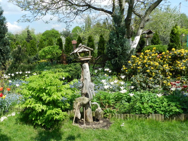 Pelaś z Pelaśką pilnują ogrodu