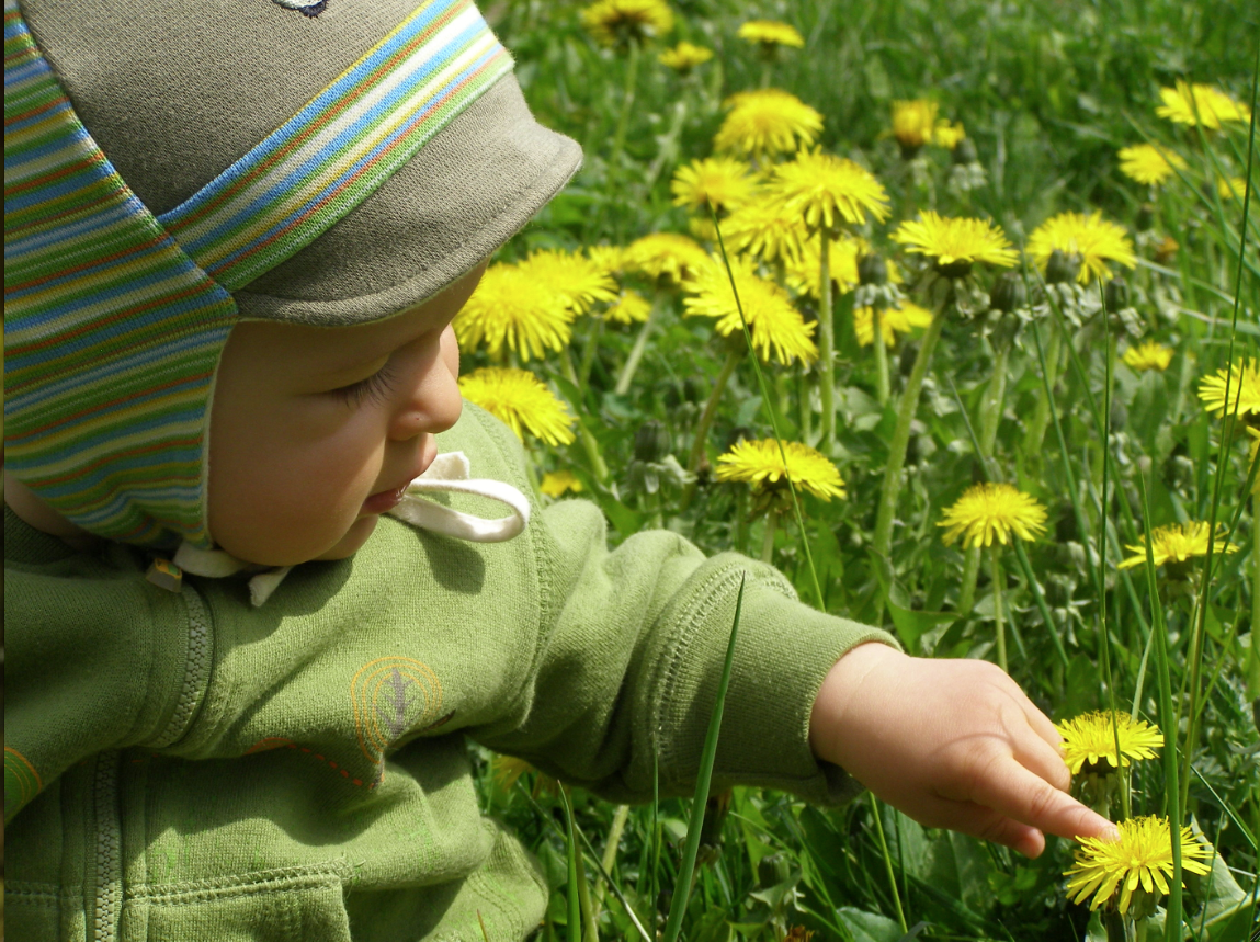 Pierwsza fascynacja Krzysia – polne kwiaty.