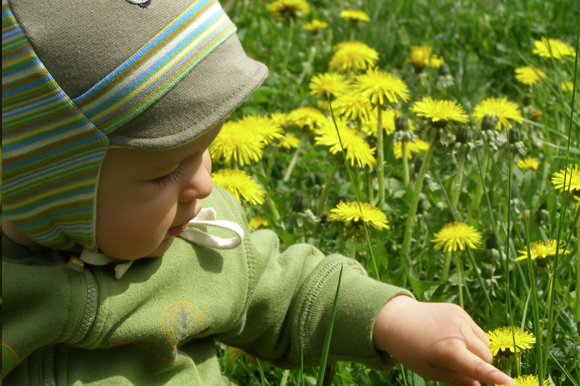Pierwsza fascynacja Krzysia – polne kwiaty.