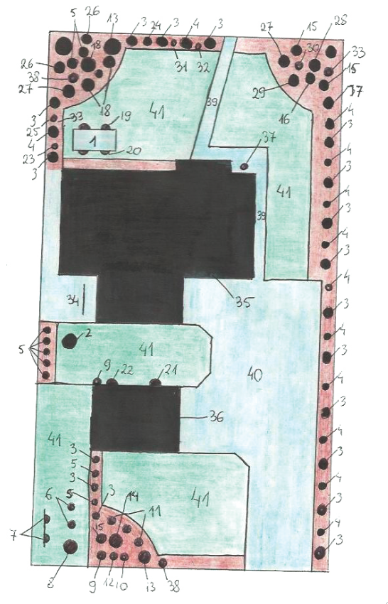 Plan działki Doroty Krzanowskiej. Dokładny opis nasadzeń znajduje się u dołu artykułu