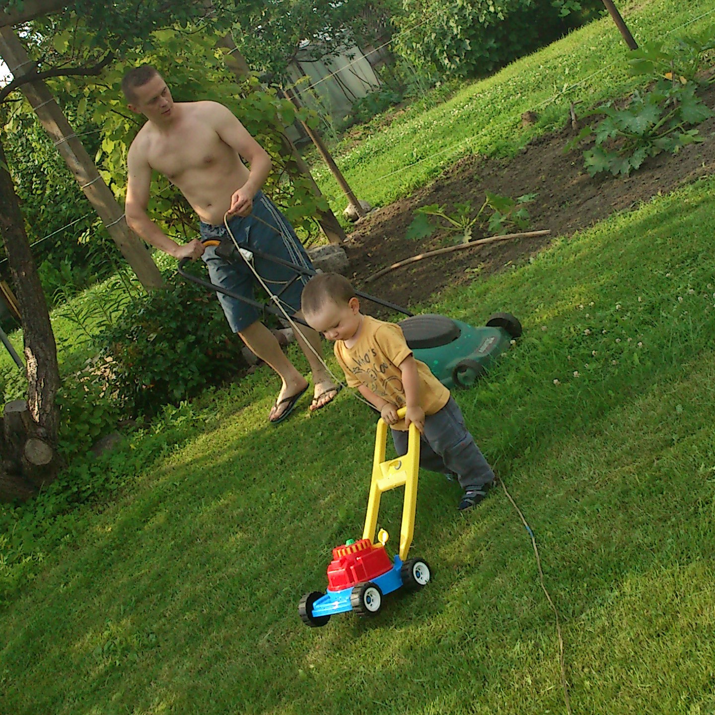 pomóc Ci tato?  to Ci pomogę