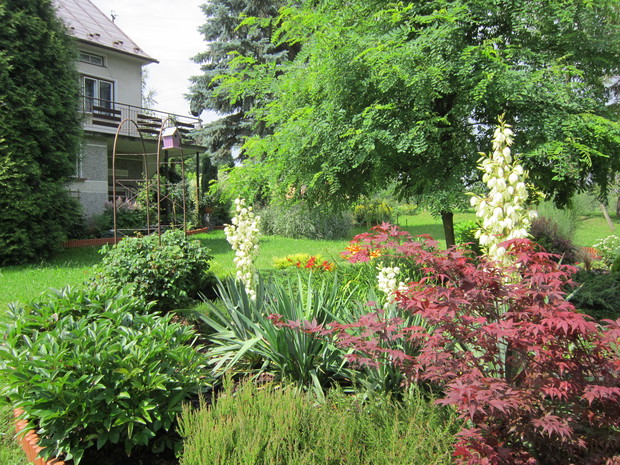 Rabata z kwitnącymi jukami