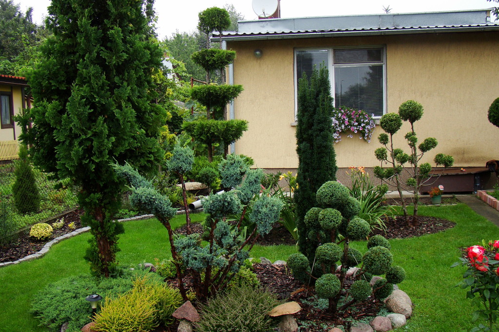 Schludnie przystrzyżone iglaki prezentują się naprawdę imponująco