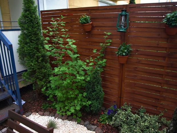 Ścianka nadała ogródkowi innego charakteru...