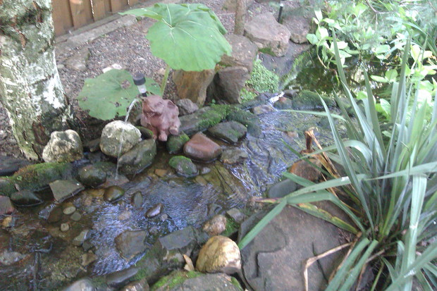 Strumyk z wodospadem płynący do oczka.