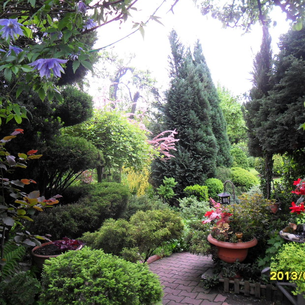 taki misz - masz,wiosenna zielen .