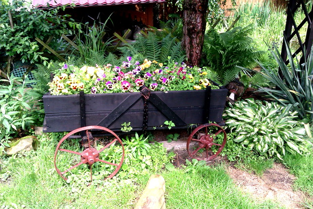 Uśmiechnięte bratki dumnie rosną na wozie :)