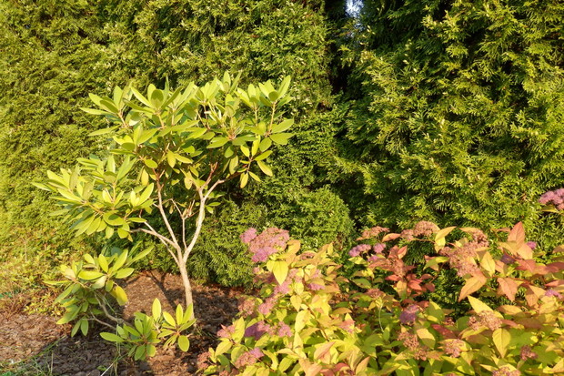 W doborowym towarzystwie