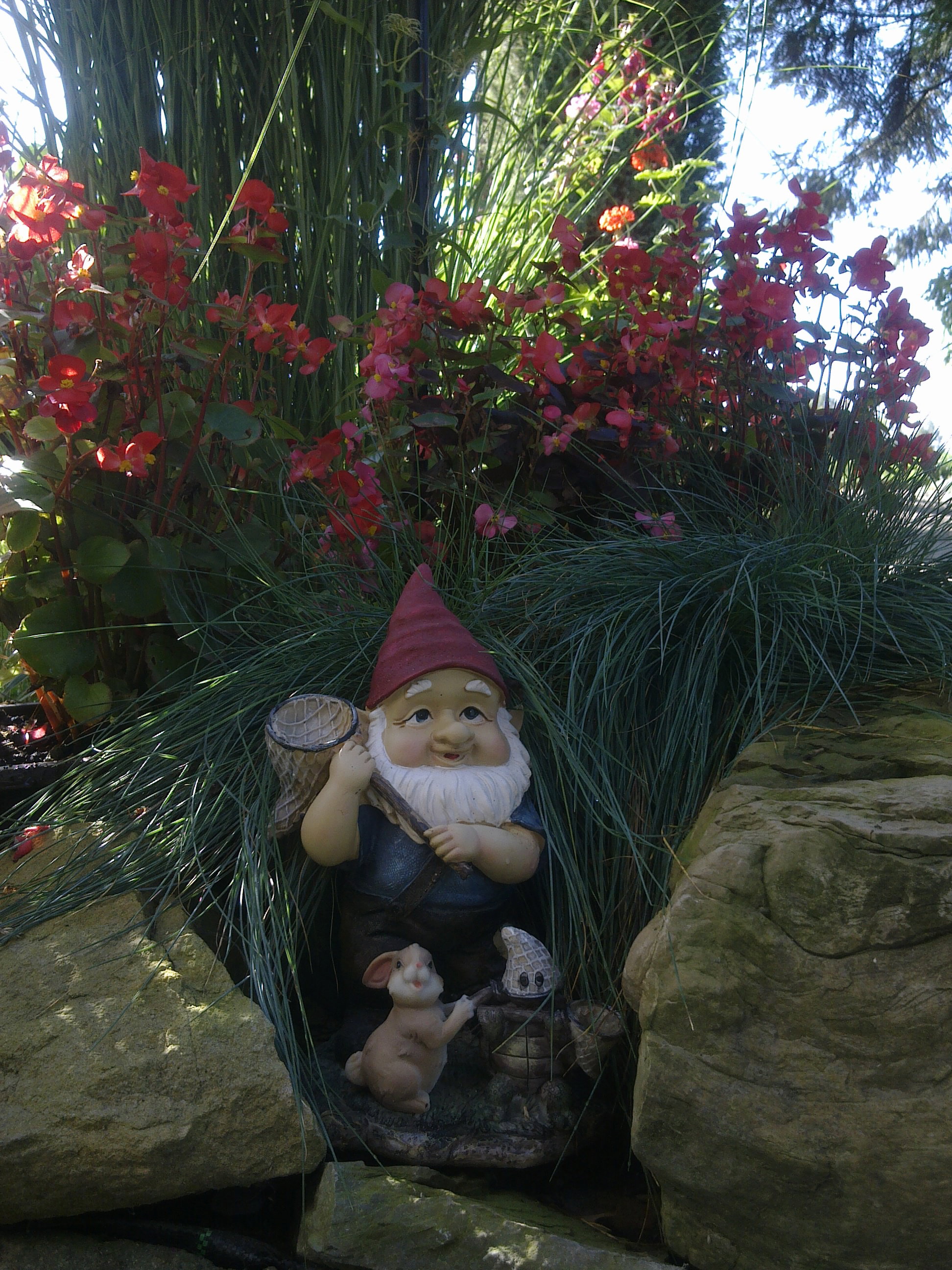 W każdym zakątku ogrodu można napotkać małego przyjaciela:)