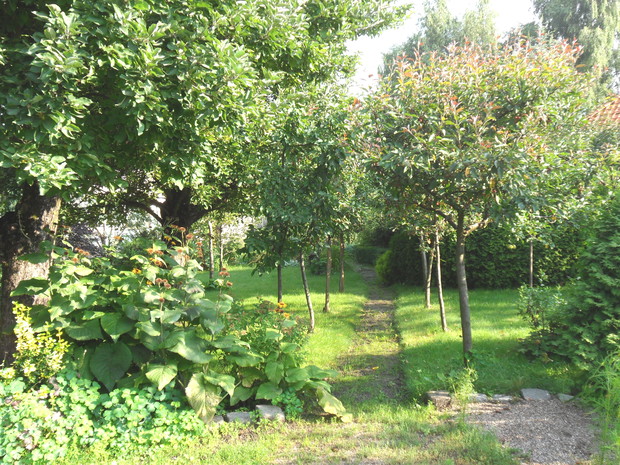 W małych ogrodach lepiej zrezygnować z betonowych ścieżek.