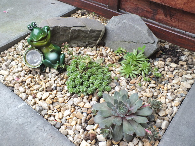 W moim przydomowym ogródku znalazło się również miejsce na mini skalniak.
