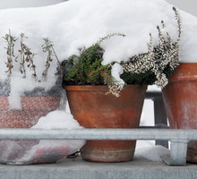 W październiku zaczynamy gromadzić materiały do owinięcia donic. Najlepiej nadają się do tego włóknina, folia pęcherzykowa i gazety