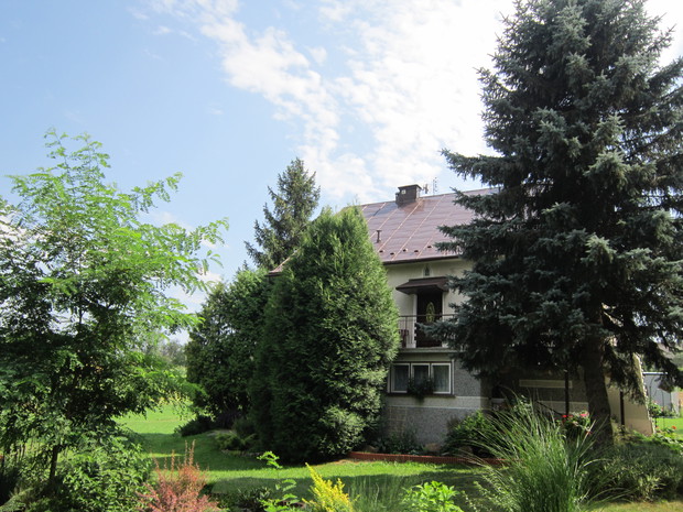 Widok na fragment ogrodu