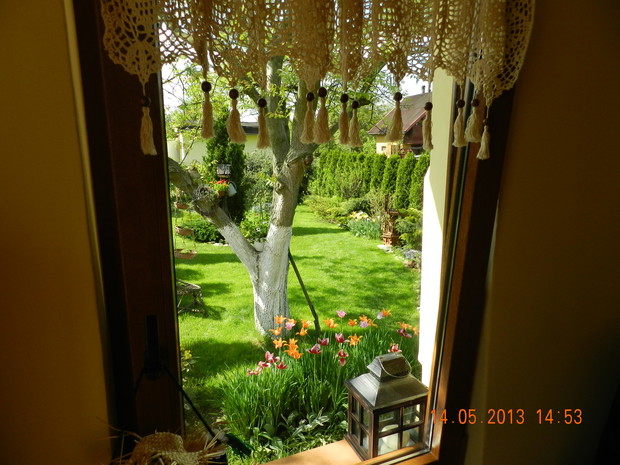 widok z okna altanki