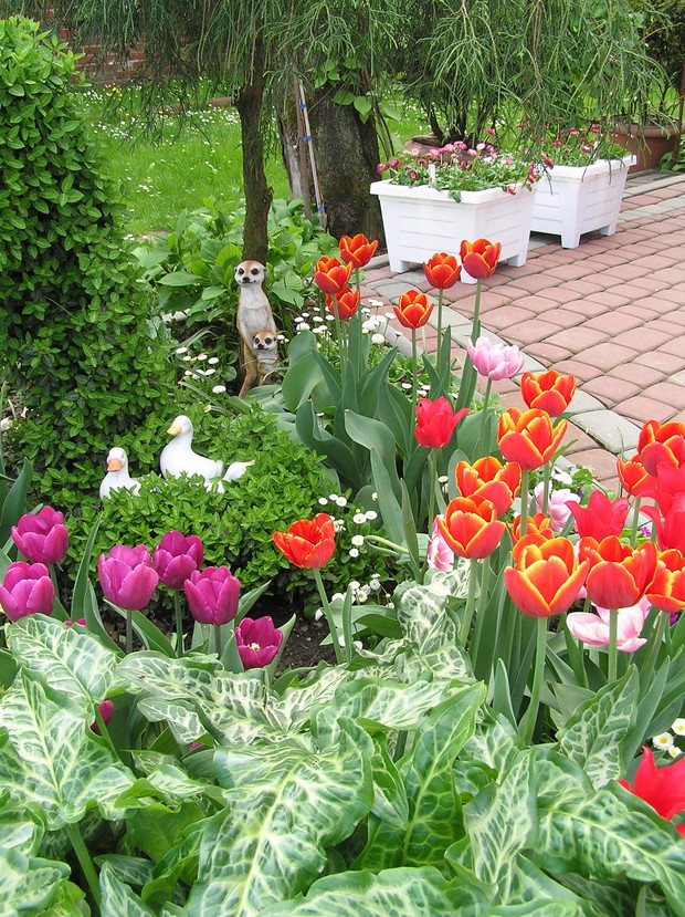 
Wielkimi krokami przyyszła  wiosna – czas, kiedy przyroda budzi się do życia, a my z niecierpliwością czekamy na słońce.