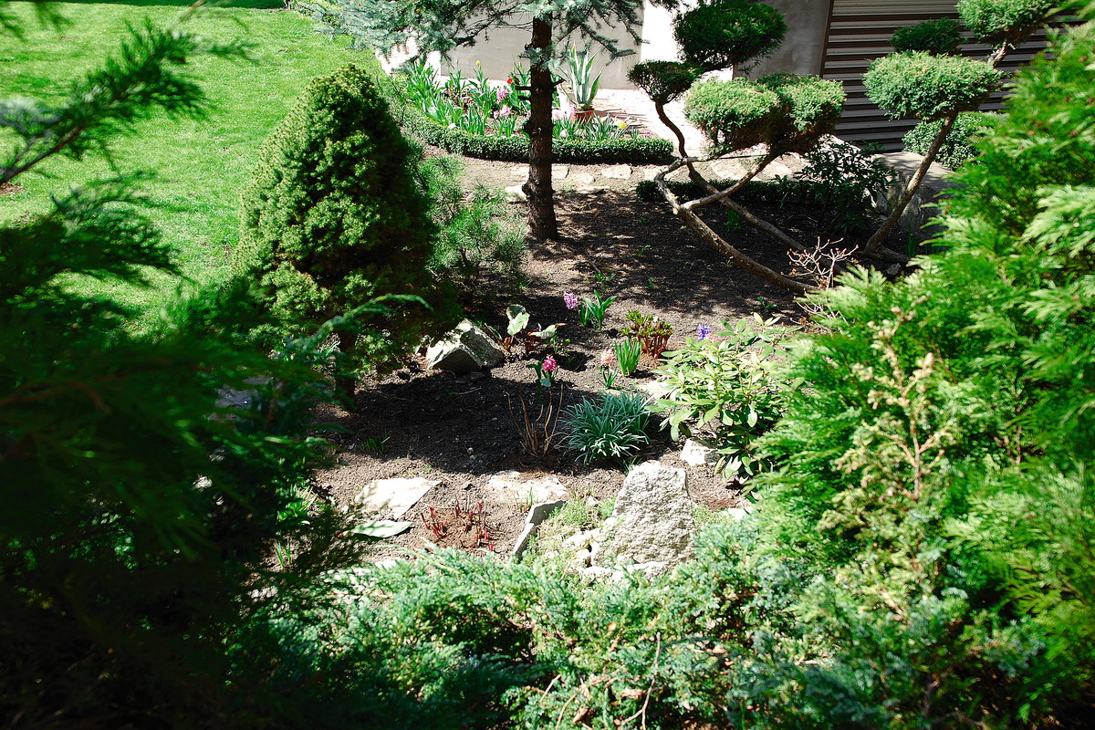 Zdjęcie wykonała Aneta Chmiel