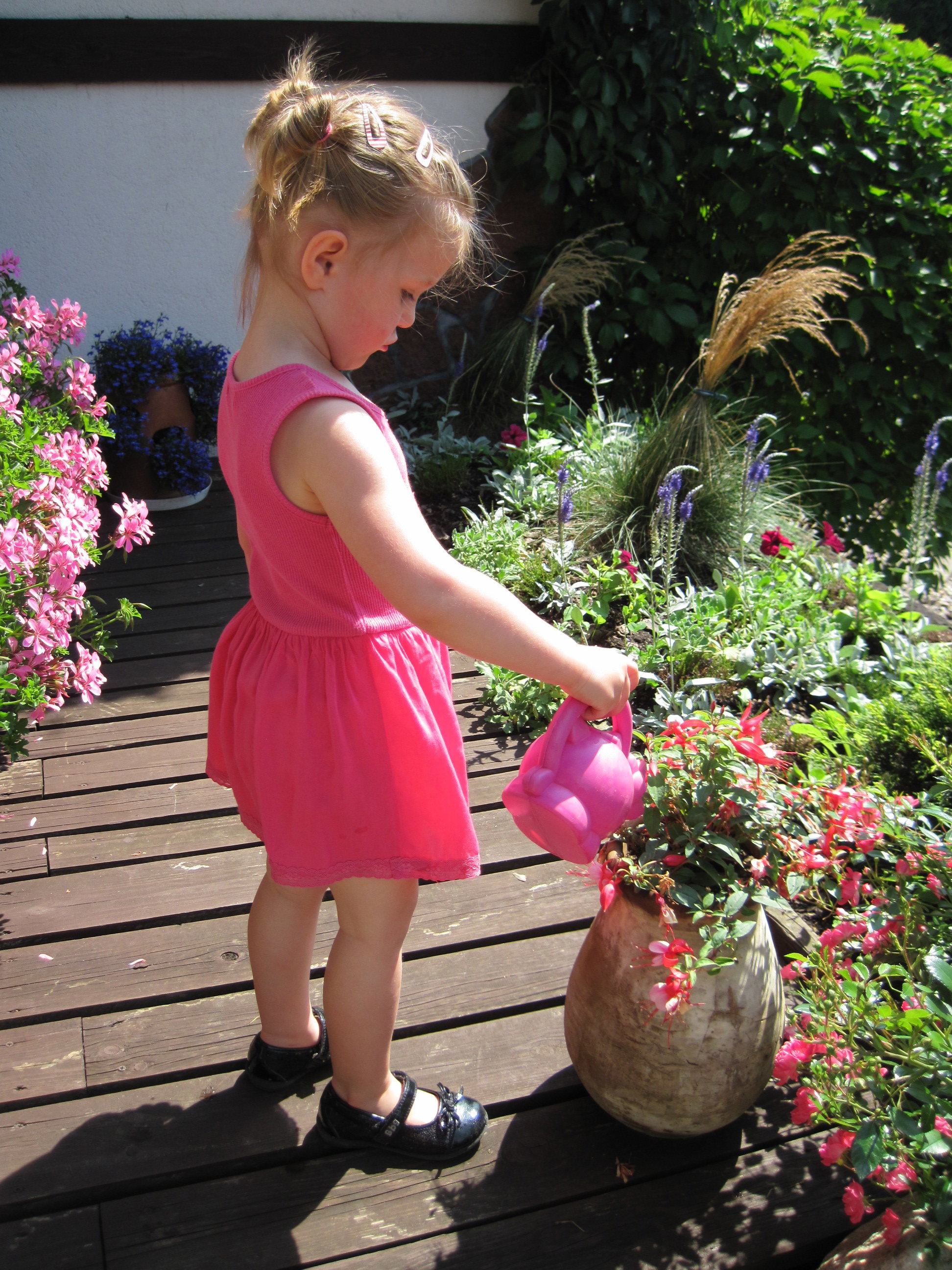 Amelcia dba o kwiatki swojej babci