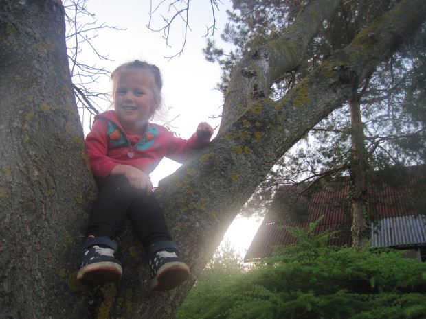 Amelka znalazła kryjówkę na orzechu za domem dziadków.