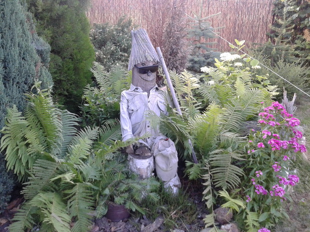 Antek -strażnik ogrodu.