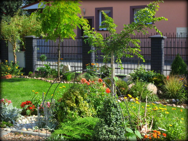 cudowny widok każdego dnia