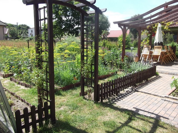 Do części warzywnej prowadzi drewniana pergola po której wspina się powojnik tangucki, za rok powinien być obsypany żółtymi kwiatkami.