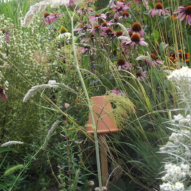 Domek z doniczki ceramicznej dla skorków.