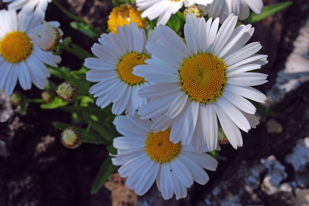 Drugie artystyczne zdjęcie ;)