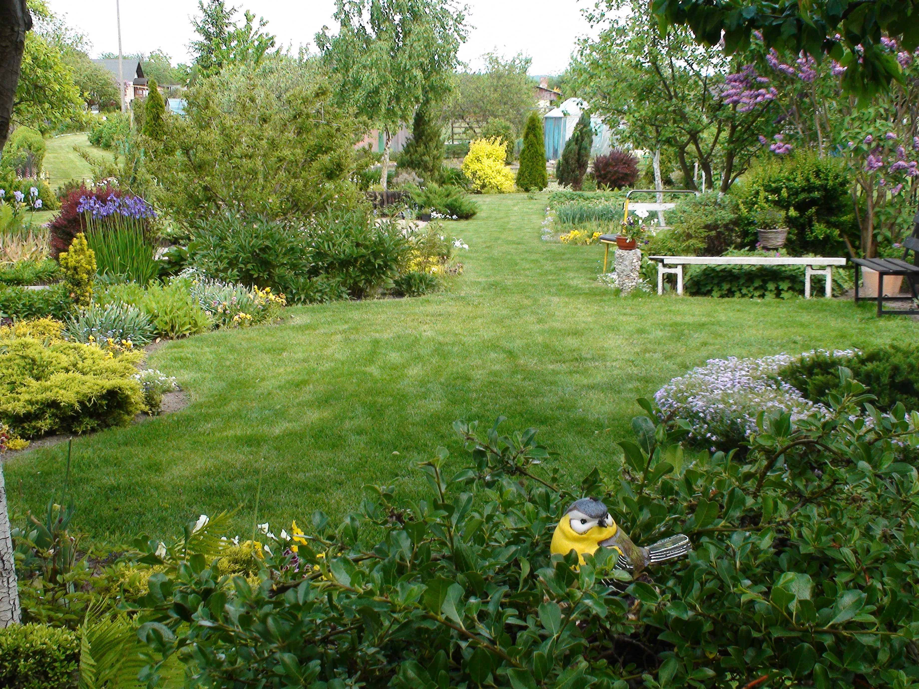 Działka jest dość długa. Wielorodność roślin sprawia, że chce się tutaj odpoczywać.