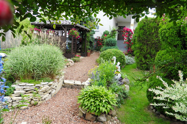 Główna ścieżka prowadzi do oczka .