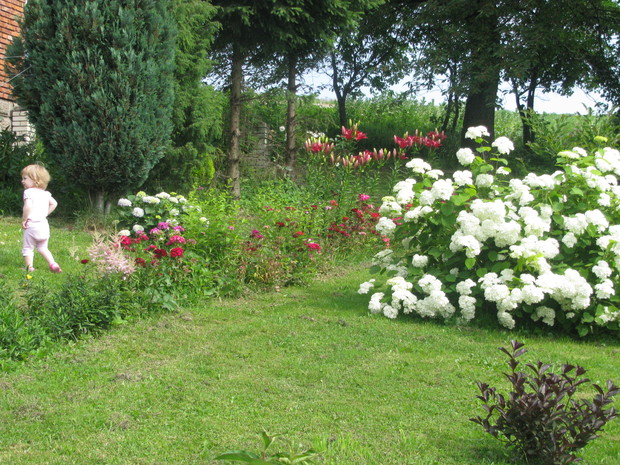 Hortensja w roli głównej.